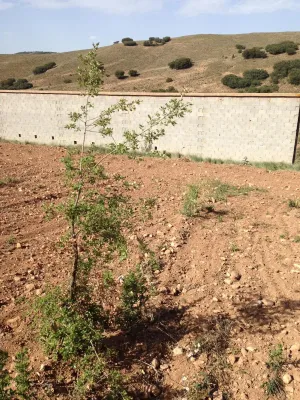 Finca agrícola ganadera ecológica renovables