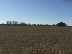 Alquilo parcela de 14,5 Has.