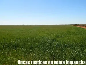 finca en venta 295 has. labor secano Albacete