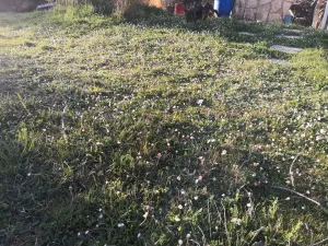 Finca en Modubar de la Emparedada