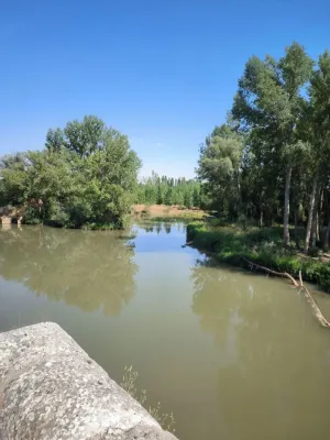 Finca en Palacios de Riopisuerga