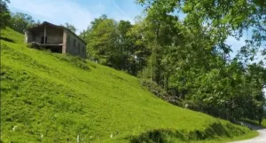 Finca en San Roque de Riomera