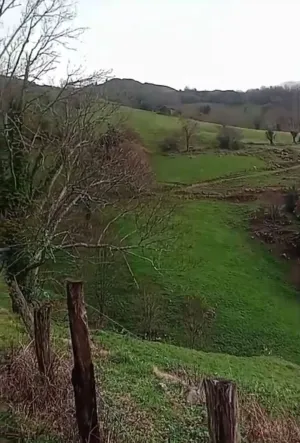 Finca en Arredondo