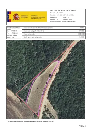 5 FINCAS RÚSTICAS: SECANO, PASTO Y FORESTAL