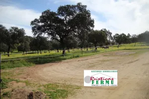 Finca de hípica y cinegética cerca de Córdoba