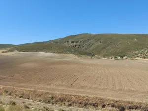 FINCA RÚSTICA EN ESCÚZAR (GRANADA) – 15,7ha