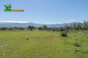 Terrero Rústico en Otura con vistas a Sierra Nevada.