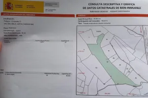Venta conjunta de dos fincas rústicas en Xerta (granja y finca de olivos)