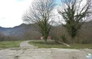 Finca ganadera i de recreo en venta