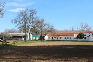 FINCA DE LUJO EN MADRID ref. 1544