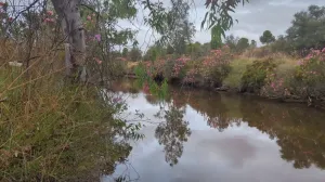 Portugal Herdade com muito potencial