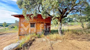 FINCA RÚSTICA CON ENCANTO EN EL RONQUILLO – 8.500 m2 APROX. + PISCINA + LUZ + AGUA🌿🔥