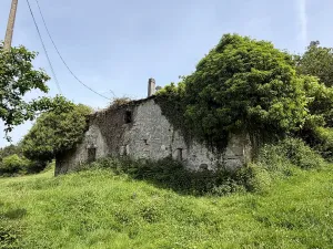 Fincas con Casas de Piedra y Eucaliptal
