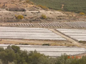 VENTA FINCA REGADIO 160 Hectareas