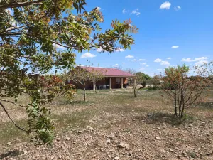 Finca Rustica granja de gallinas ecológicas