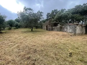 Terreno con dos ruinas
