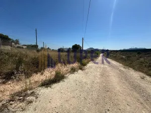 SE VENDE MAGNÍFICA FINCA RÚSTICA CON PARTE URBANA EN EL MORALET (ALICANTE)