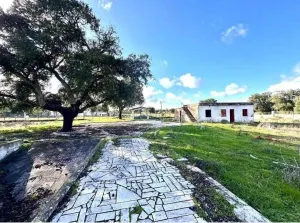 Quinta em Palmela, Setúbal