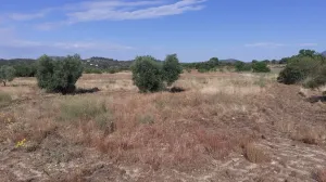 Venta de terrenos