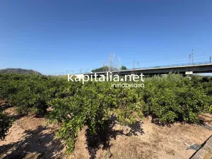 FINCA DE NARANJOS A LA VENTA EN XATIVA