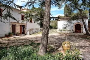 🏡 Masía Histórica con Encanto en la Sierra de Mariola – Un Tesoro del Siglo XIX por Descubrir 🌿✨