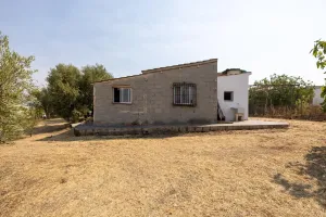 Encanto rústico con casita y olivos en Moraleja de Zafayona 🌿