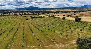^**^FINCA AGRÍCOLA Y DE RECREO EN TOLEDO – 17 HECTÁREAS CON MÚLTIPLES POSIBILIDADES DE DESARROLLO^**^