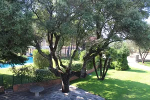 Finca exclusiva en Madrid Ref. 1549