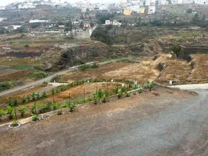 ACTIVO DE INVERSIÓN ÚNICO EN GRAN CANARIA