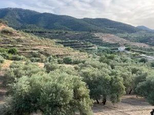 Paraje de los castillos - Restabal