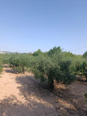 Casa rústica con porche y patio en Paraje Retamar, Cehegín – 97 m2