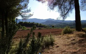 Finca Rústica con Amplias Posibilidades