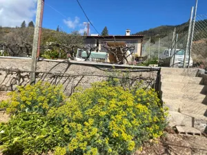 Gran oportunidad de negocio en Granadilla de Abona.