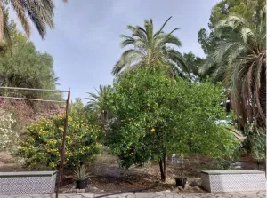 Cortijo andaluz con 13,5 hectáreas, Partaloa