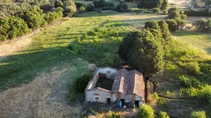 Finca de regadío con gran potencial