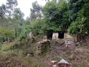 Finca en Pravia