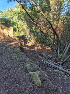 Finca rustica con masia catalogada