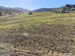 Riogordo - Colmenar 262,3 Ha Cortijo Napolín