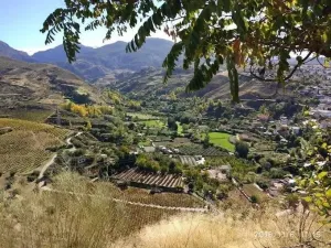  Bodega de ensueño en Monachil (Granada) – ¡Naturaleza, tradición y oportunidad en un mismo sitio!