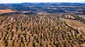 Propriedade residencial perto da cidade de Lleida