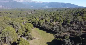 Finca rústica en pleno Valle del Tiétar