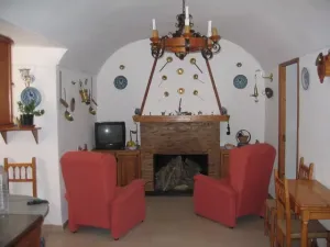 FINCA DE OLIVOS CON RIEGO POR GOTEO