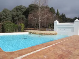 FINCA HIPICA Y DE RECREO EN SEVILLA - 1353