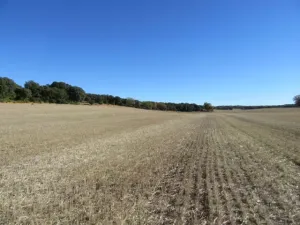 FINCA DE LABOR Y CAZA MENOR EN CIUDAD REAL