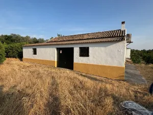 Finca de naranjos en Palma del Río
