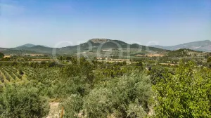 Finca de recreo con un chalet en Alicante