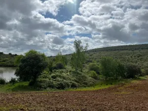 Magnifica Finca