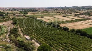 Finca de regadío en la provincia de Teruel