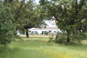 Finca recreo en Valladolid, junto AVE, 1530