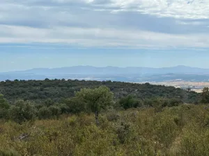 Finca 303 Has en Ciudad Rodrigo-Fotovoltaico
